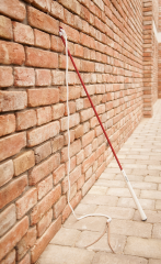 Mrkvová hůlka CLASSIC • Délka 120 cm, oplétaná AIVA carrotstick